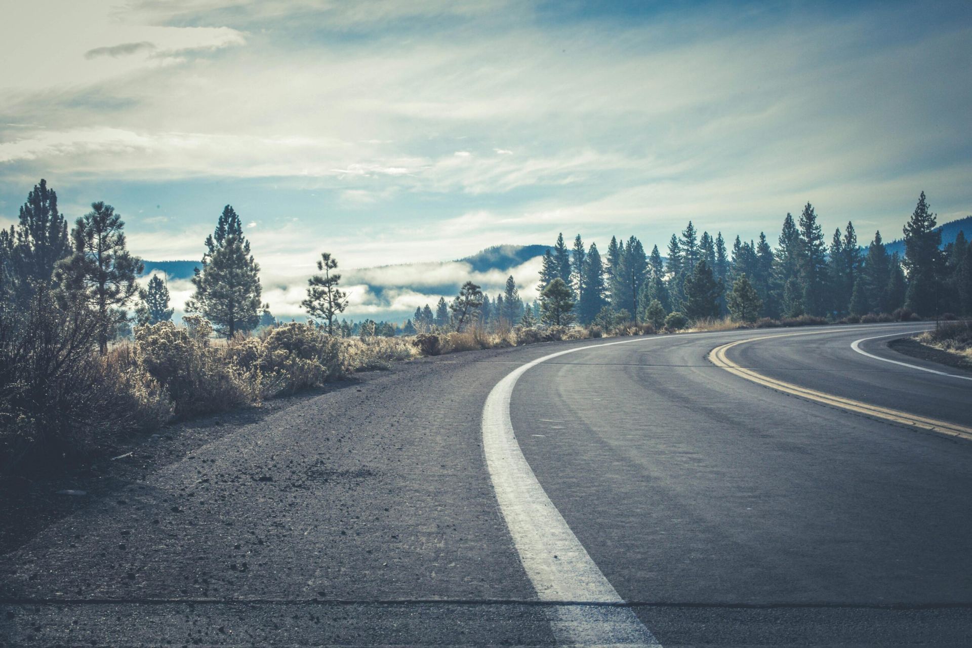 An open road curving through pine forest toward distant mountains